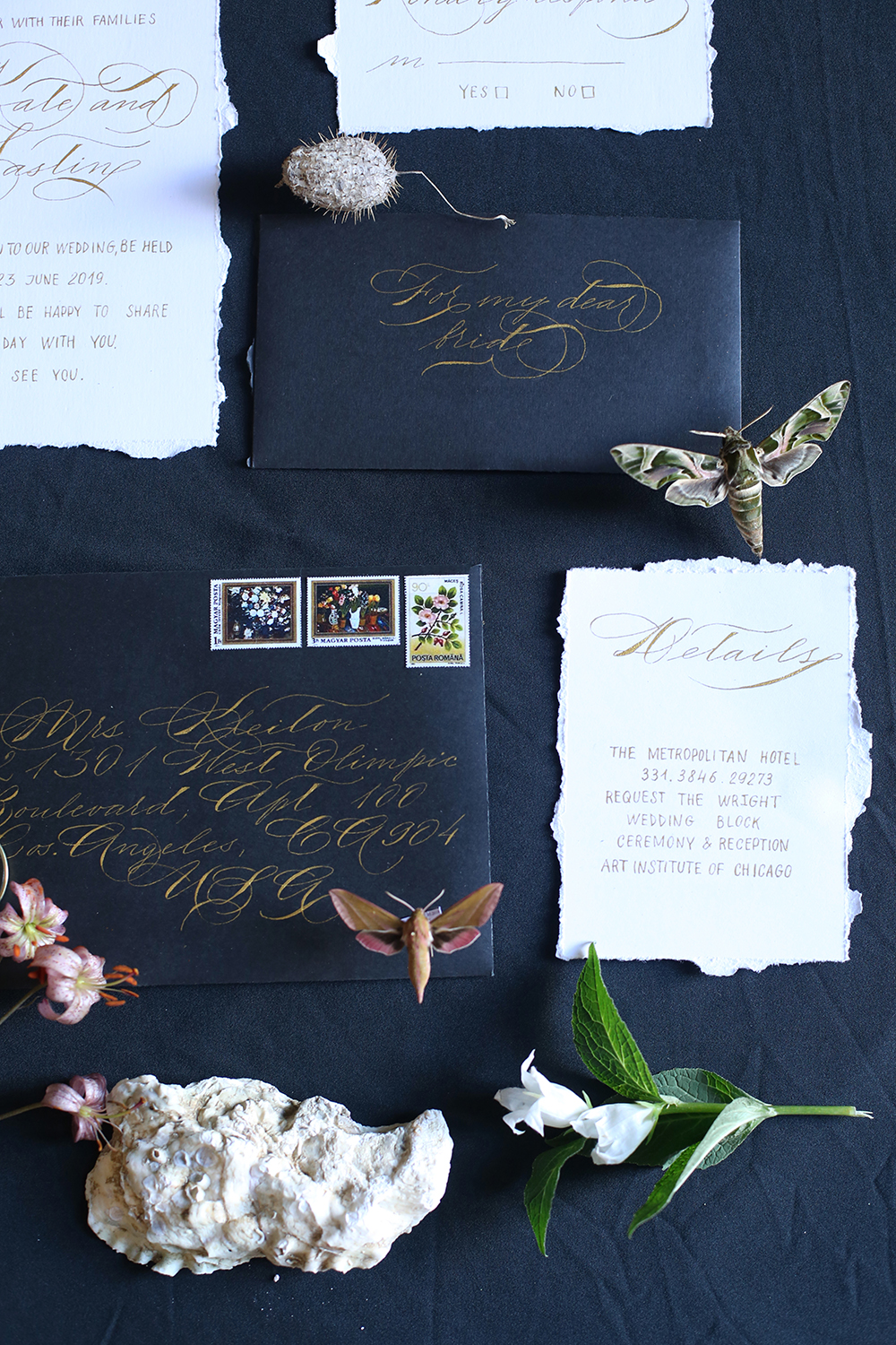 BUTTERFLY GARDEN