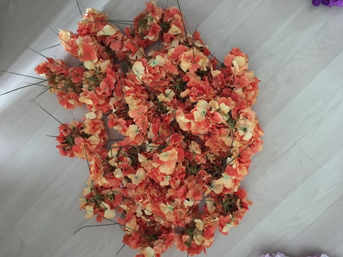 Florissimo — кадр 3 из 751
