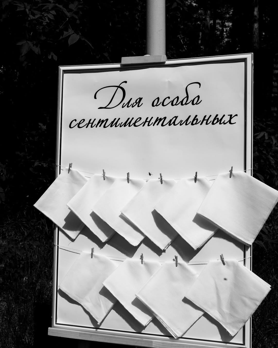 Портфолио: Оформление выездной регистрации