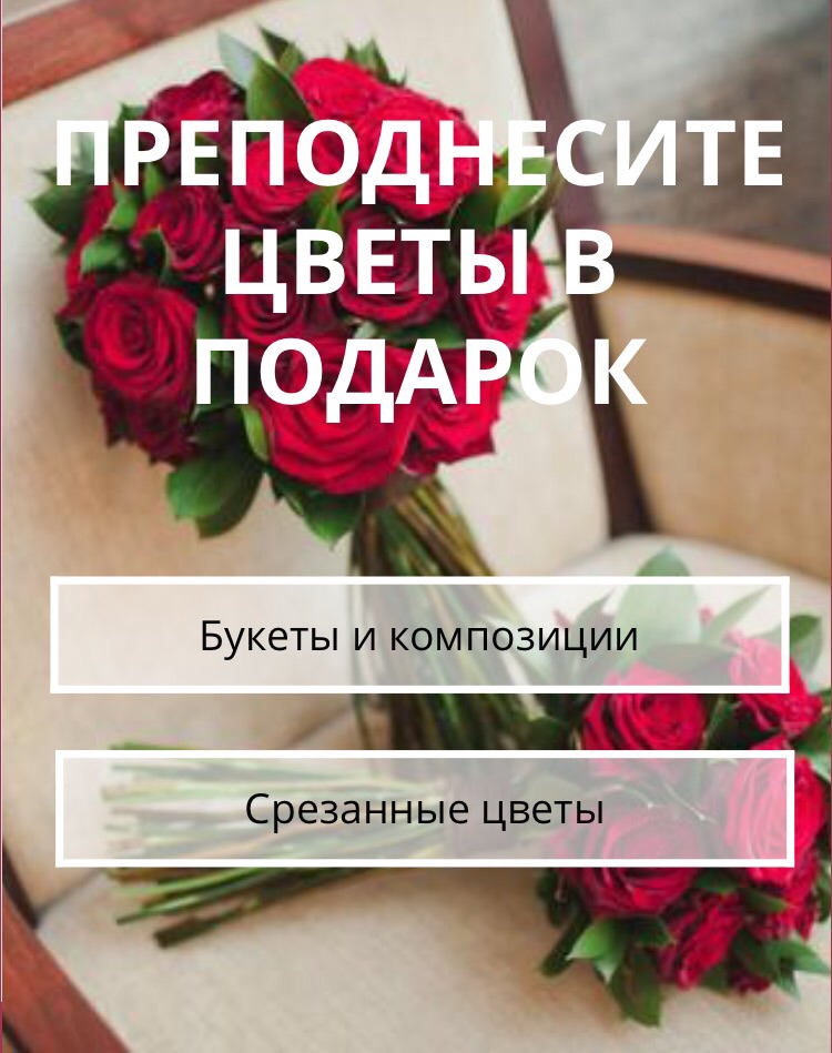 Фотографии
