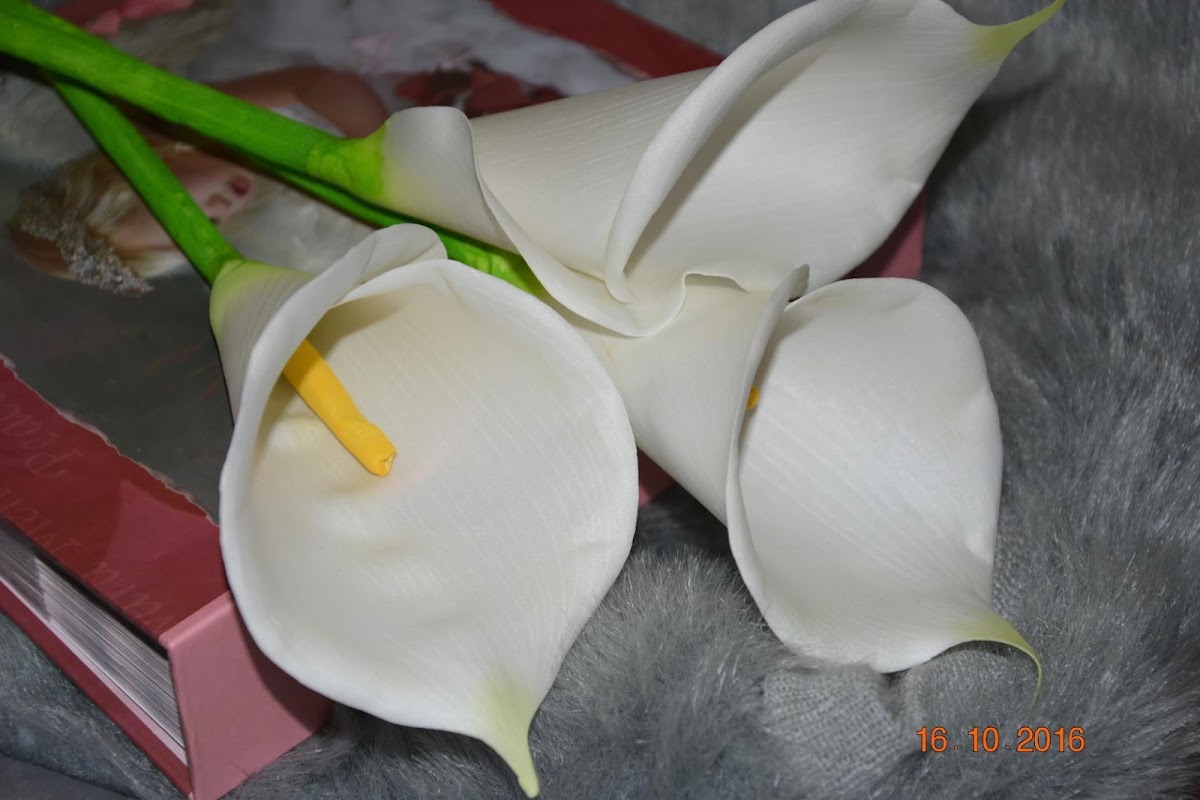 Кадр 38 из 42