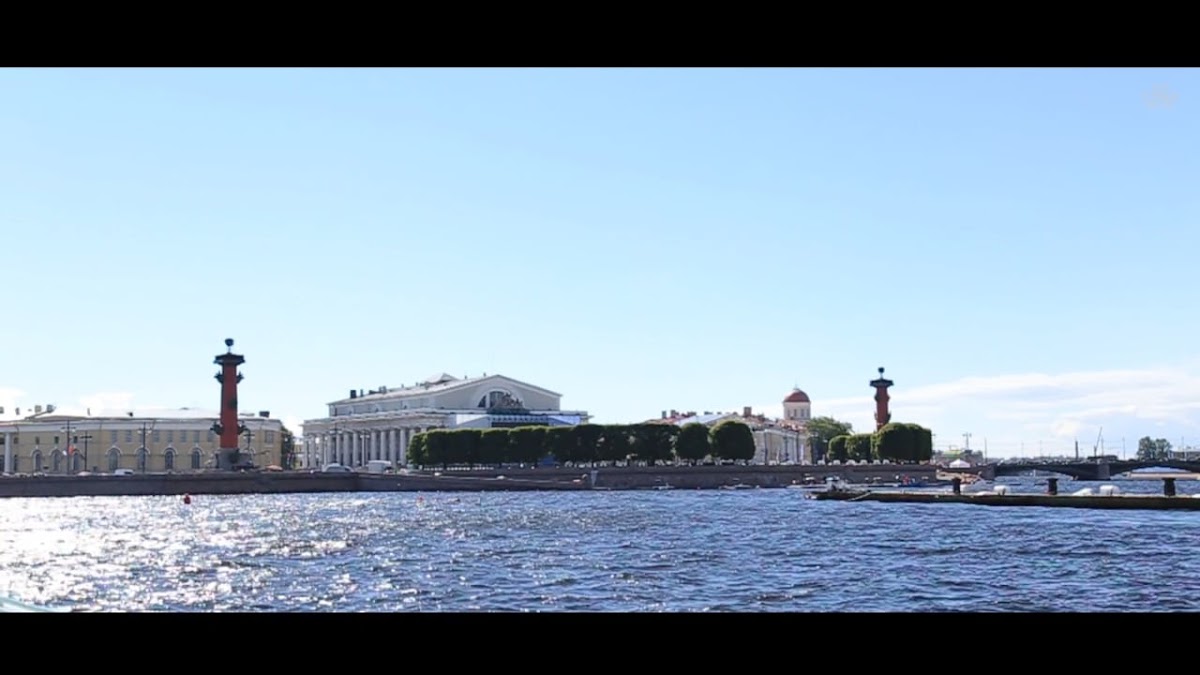 Портфолио: Выпускной