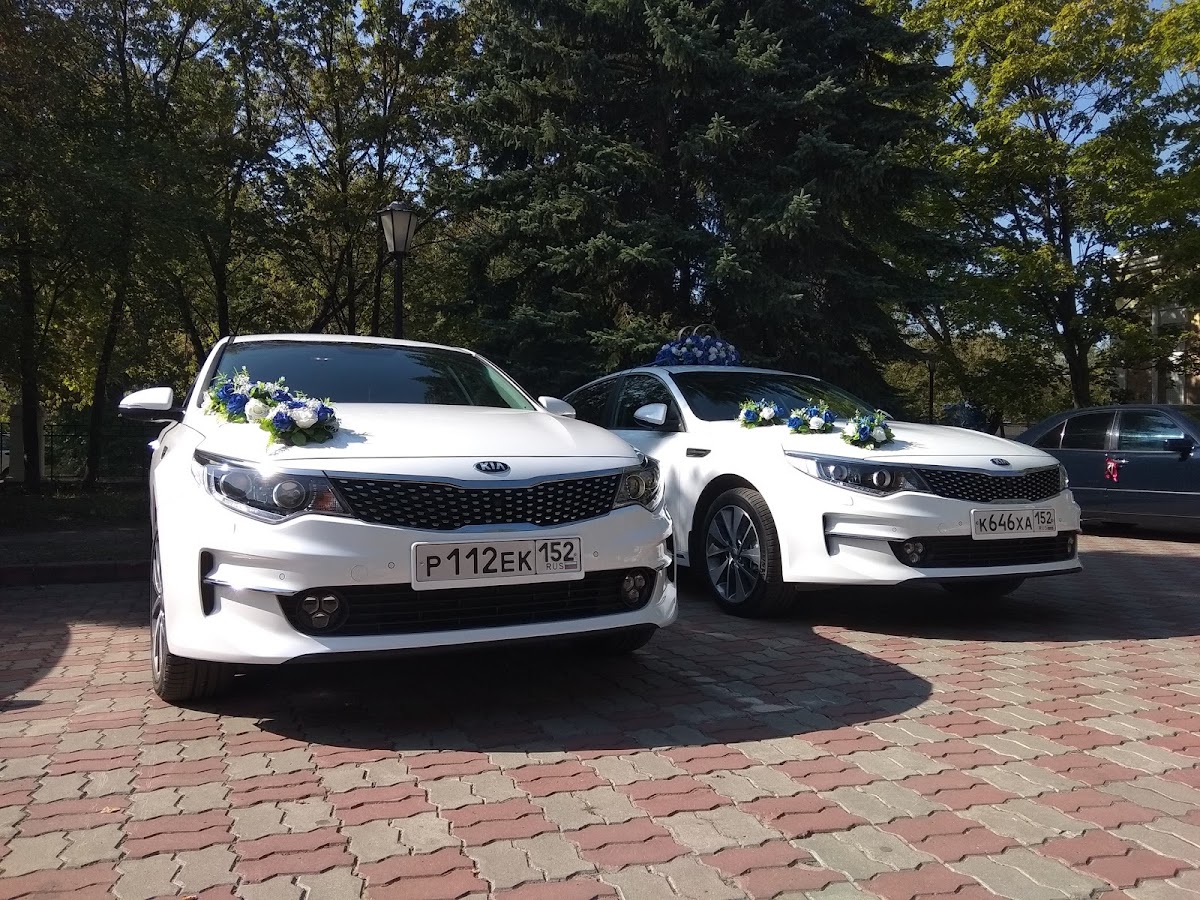 Кадр 36 из 95