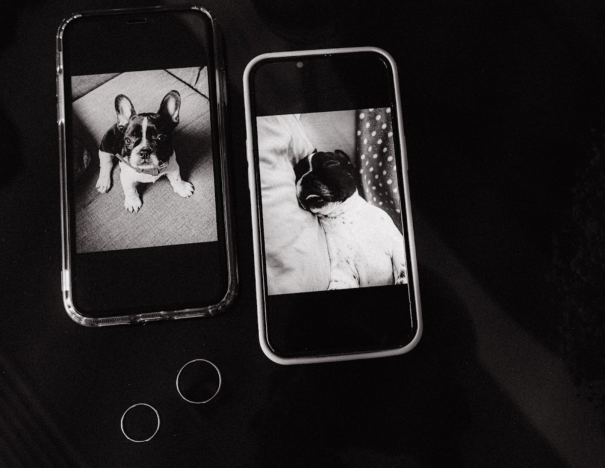 Фотографии