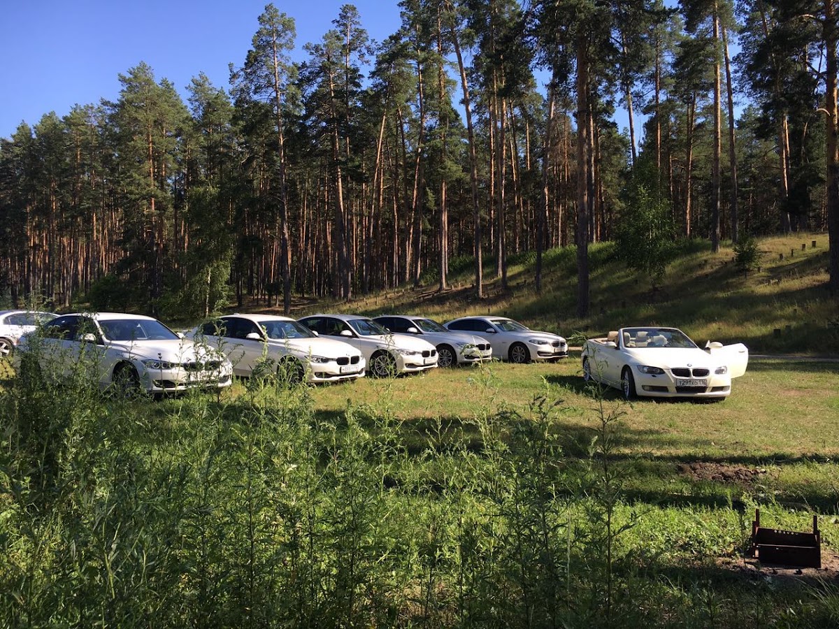 BMW316i
