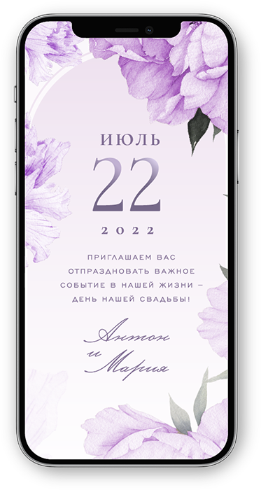 Портфолио