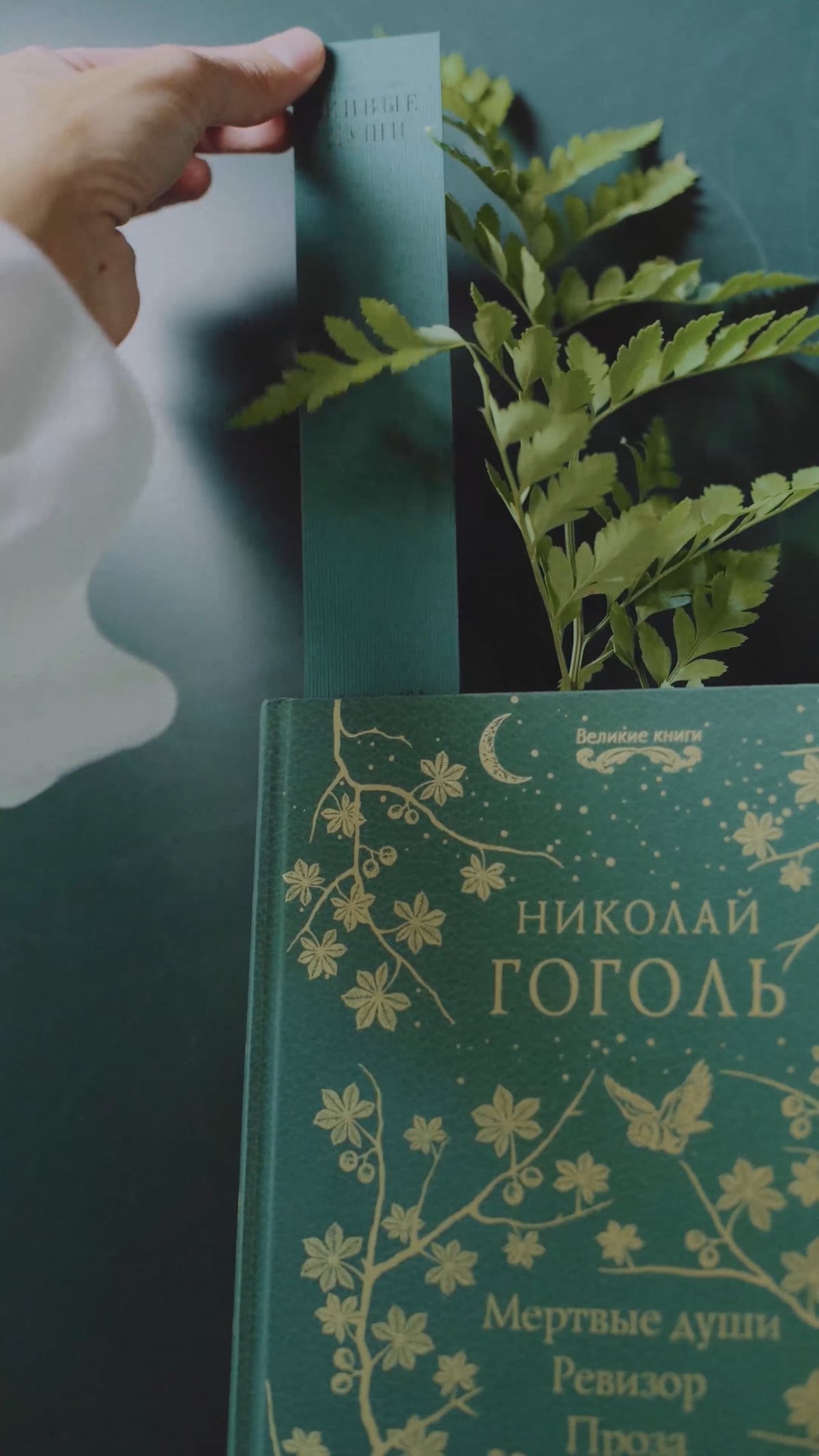 Портфолио: Реклама