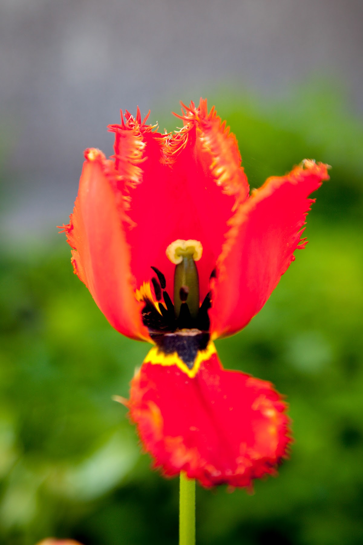 Портфолио: Фотохудожник