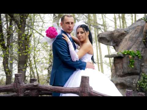 Портфолио: Свадьба