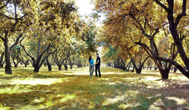 LoveStory Ольга и Тарас