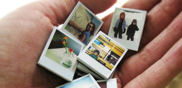 Сheese Photo