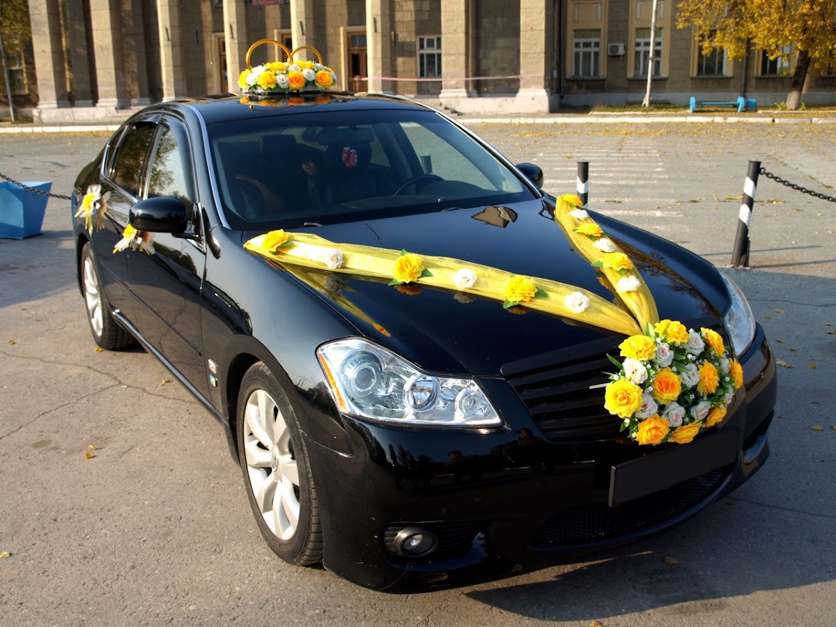 Портфолио