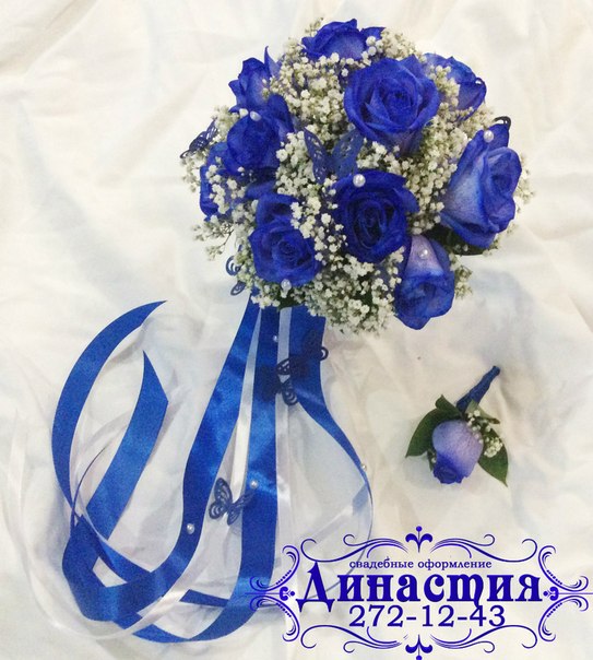 Портфолио