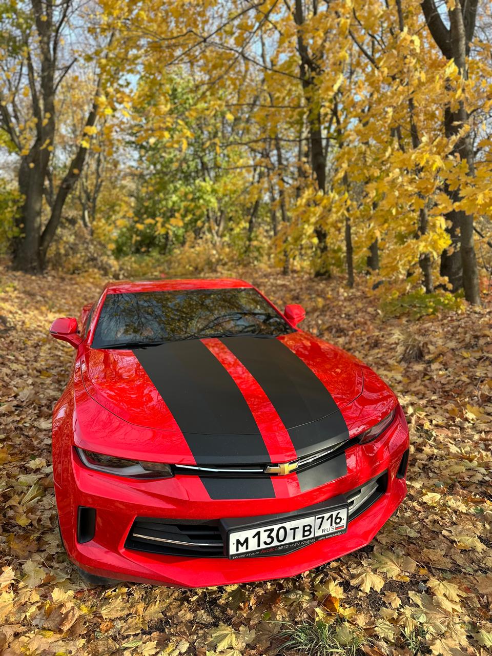 Фотографии