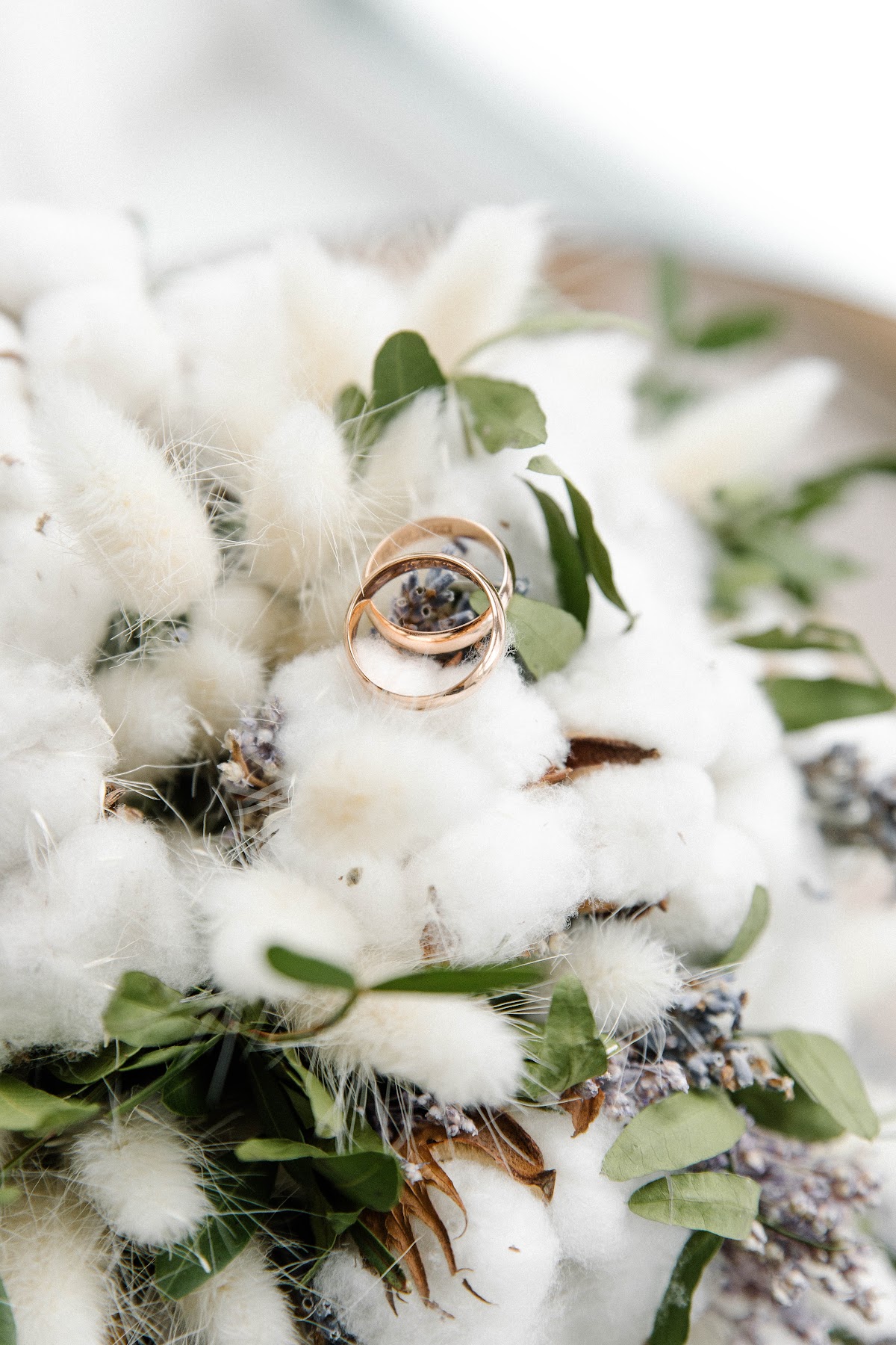 Cotton
