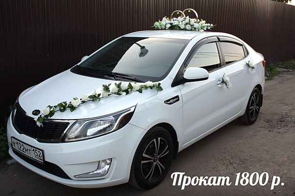 Кадр 119 из 196