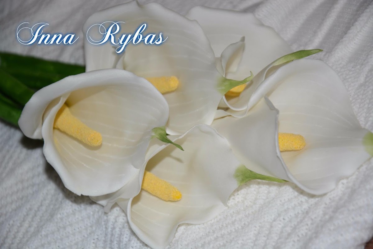 Инна Рыбас