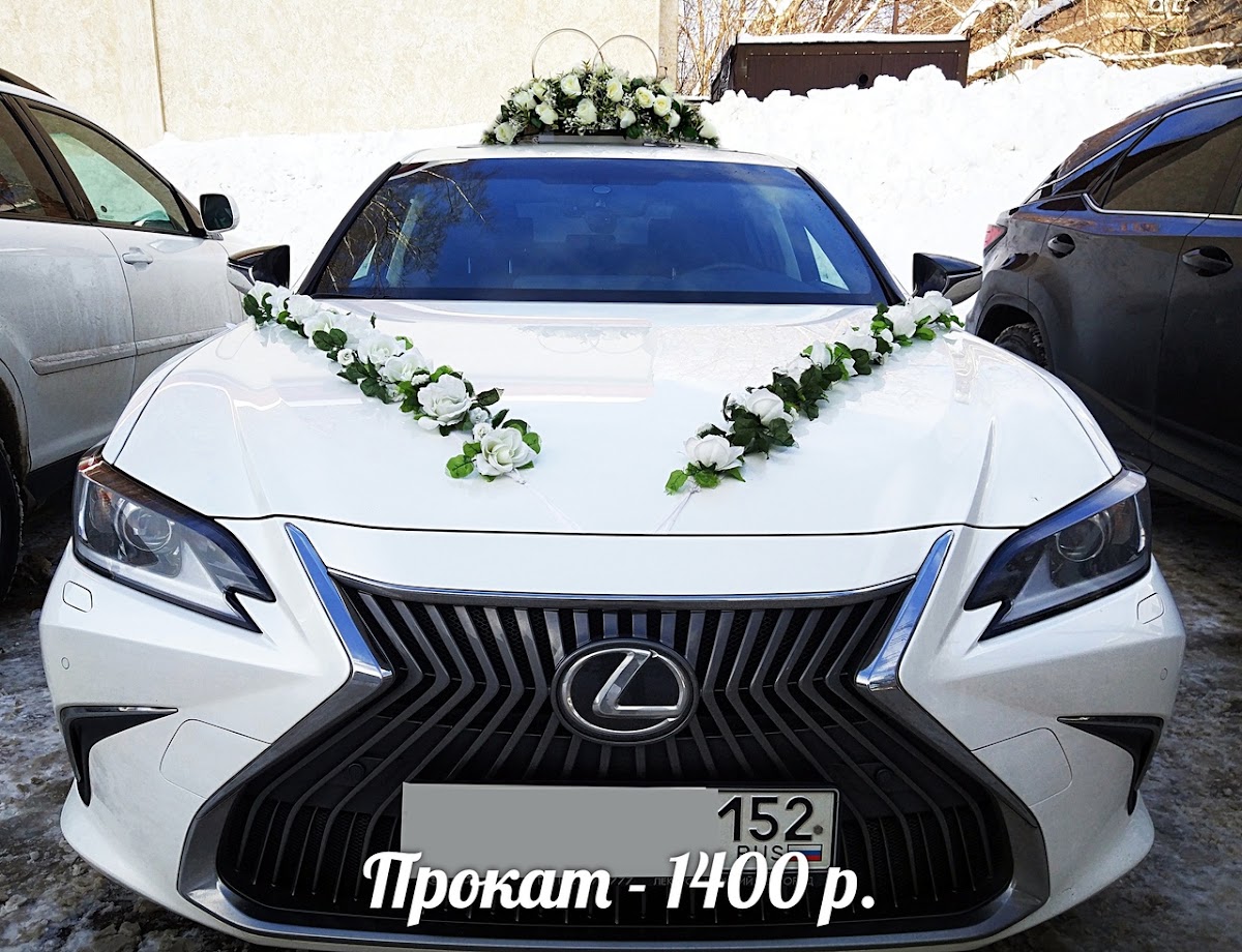 Портфолио