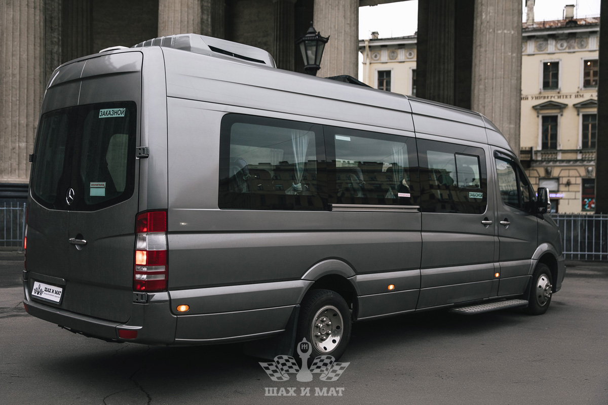 Mercedes Sprinter VIP — кадр 3 из 6