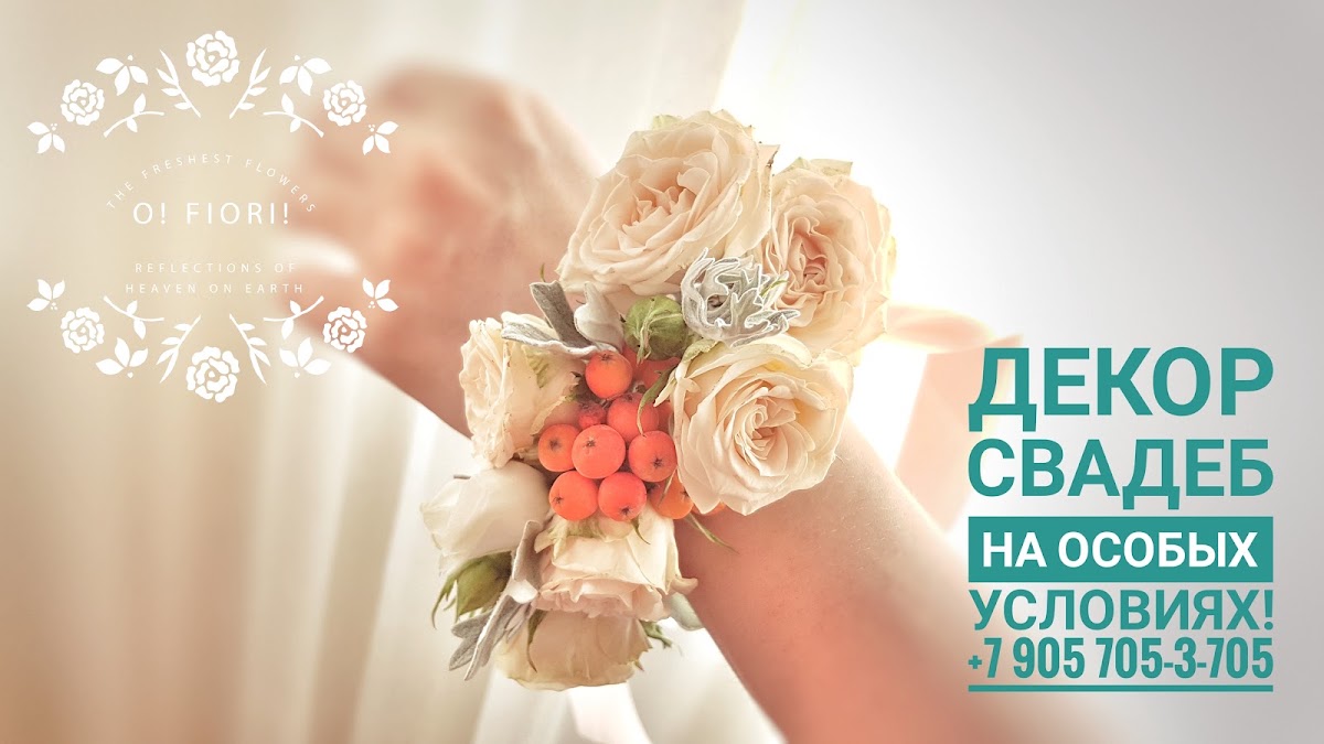 Портфолио