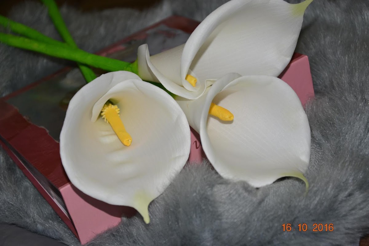 Кадр 37 из 42