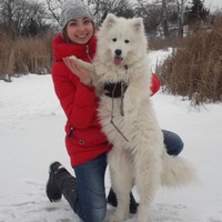 Елена Шмурыгина