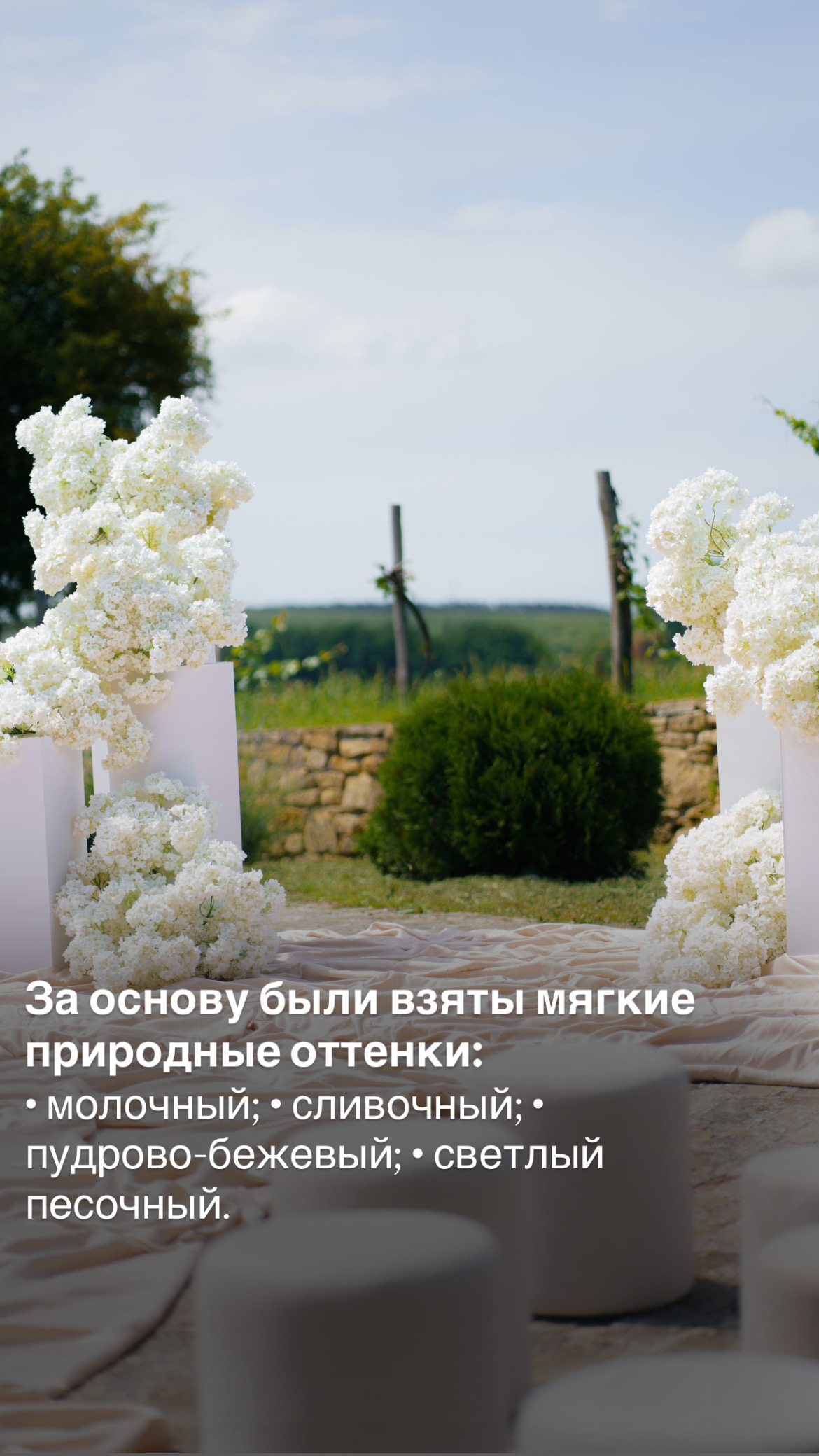Сиро Свадьба — кадр 4 из 297