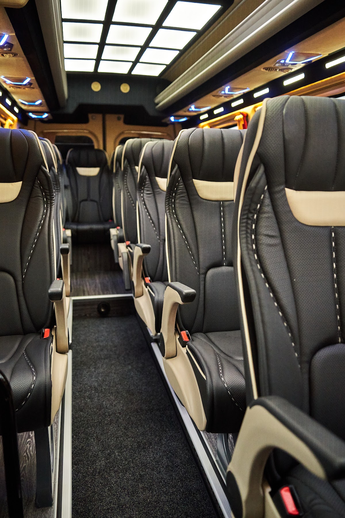 Mercedes-benz Sprinter 516 NEW VIP