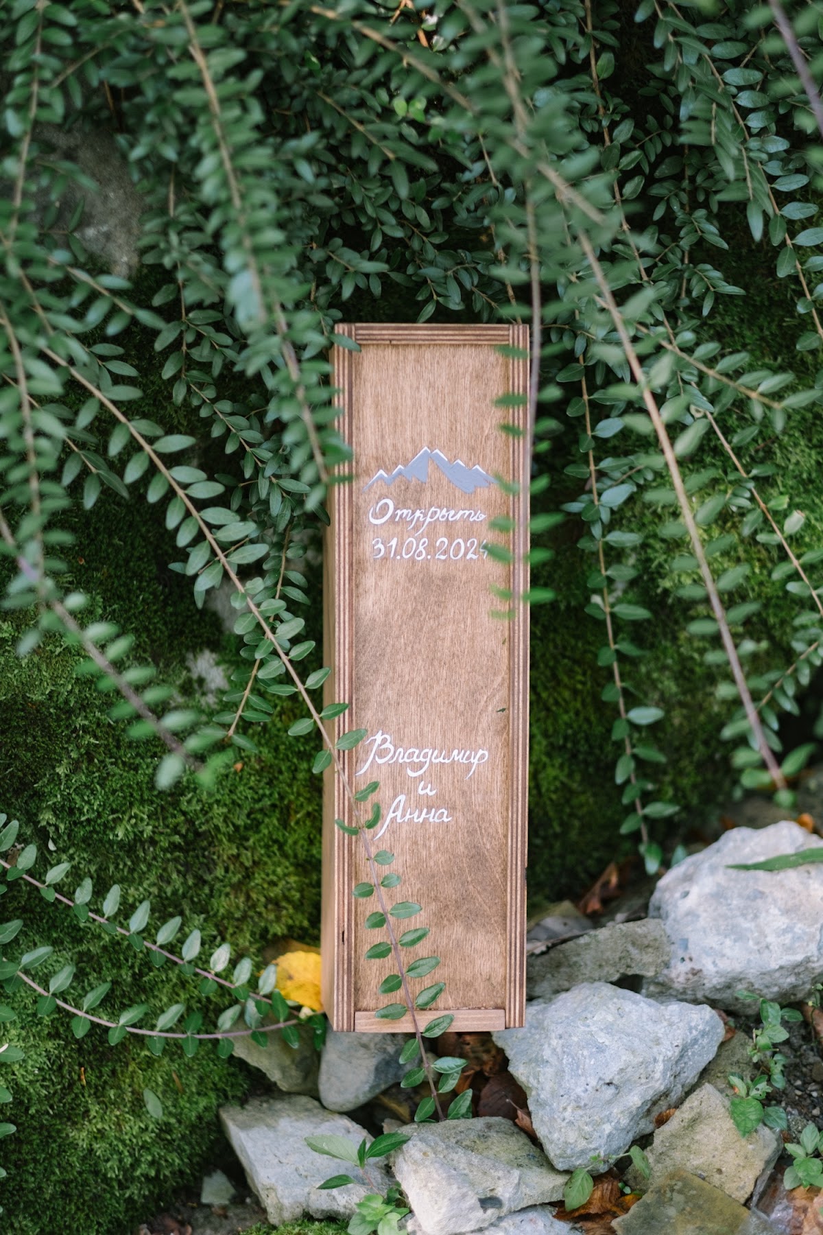 Портфолио