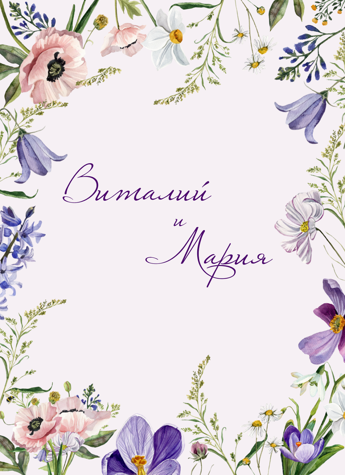 Портфолио