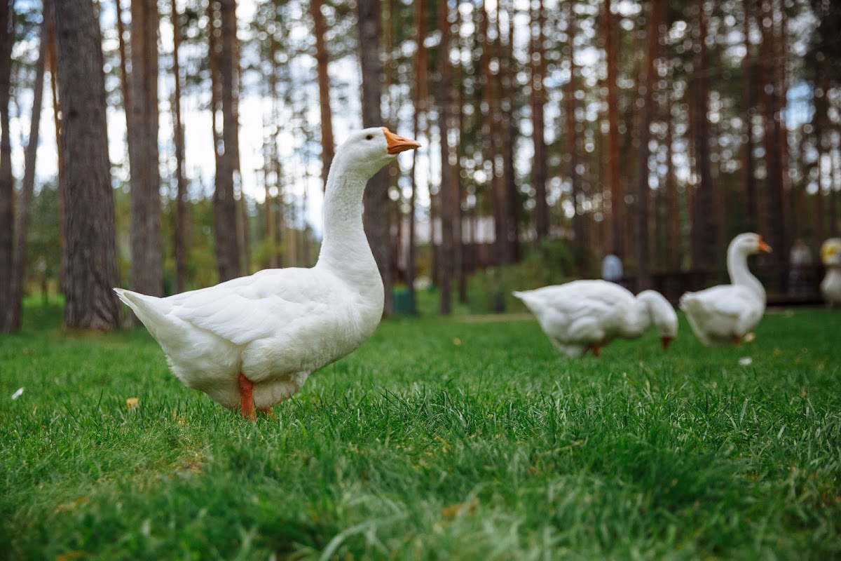 Шкатулка памяти