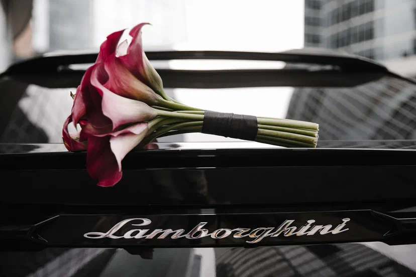Кадр 17 из 38