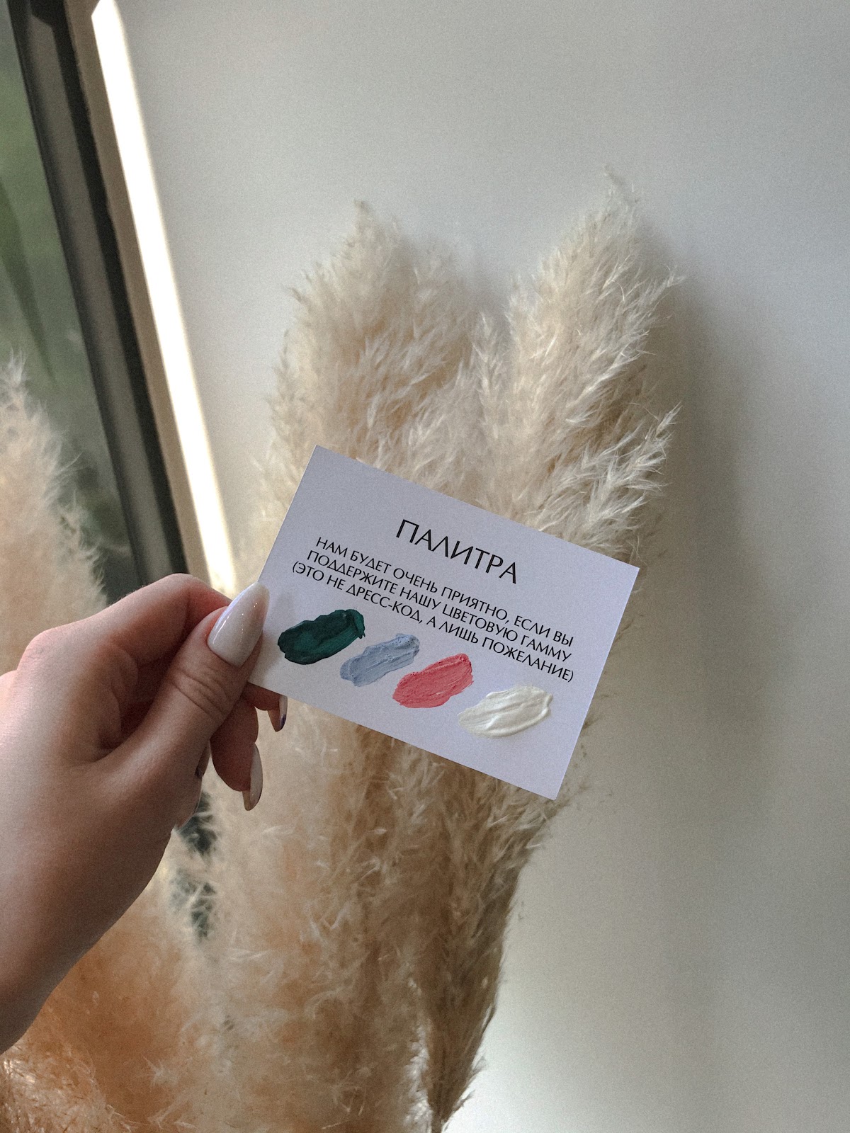 Портфолио