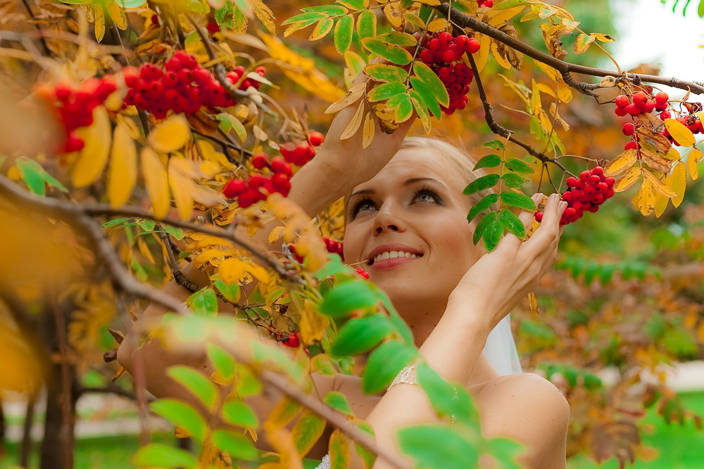 Портфолио: Свадьба