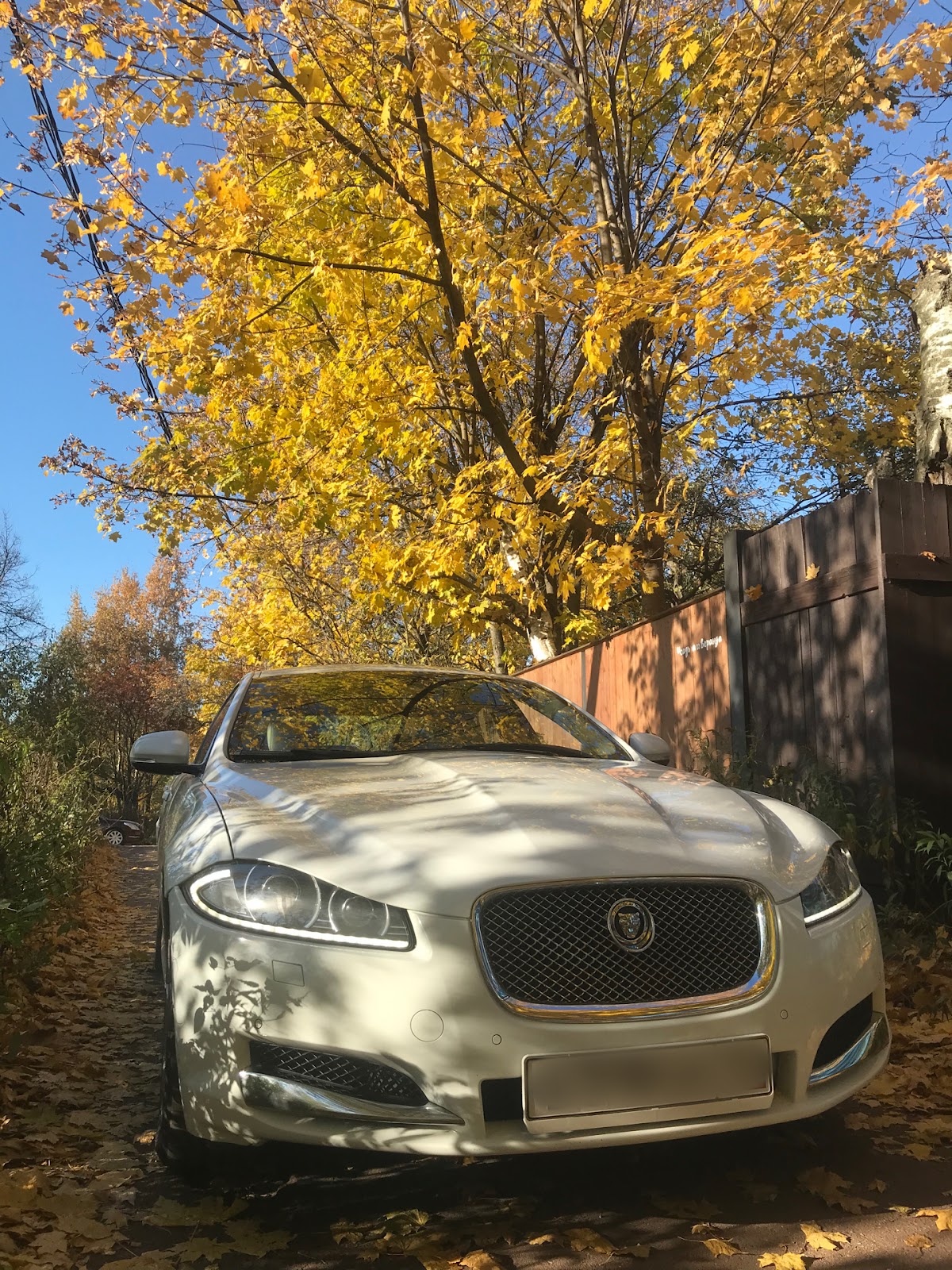 Jaguar XF  Ягуар