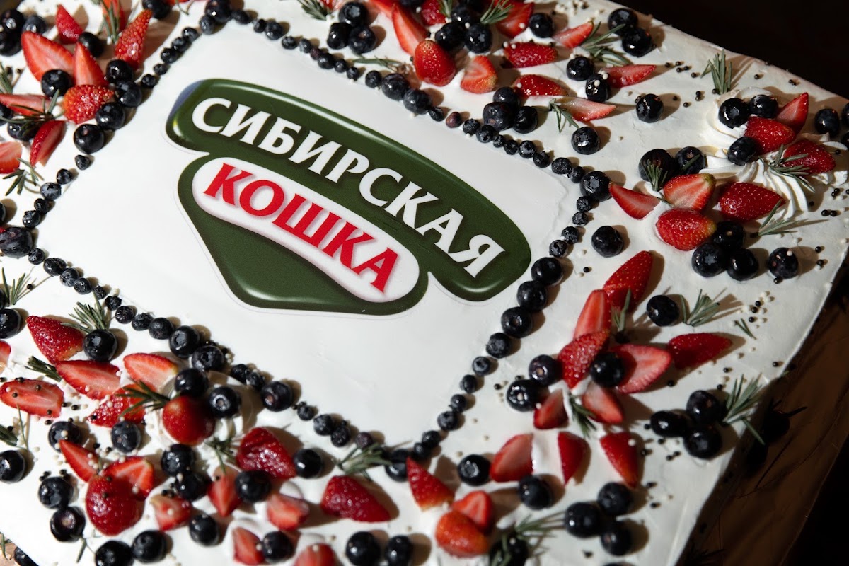 Корпоратив "Сибирская Кошка"