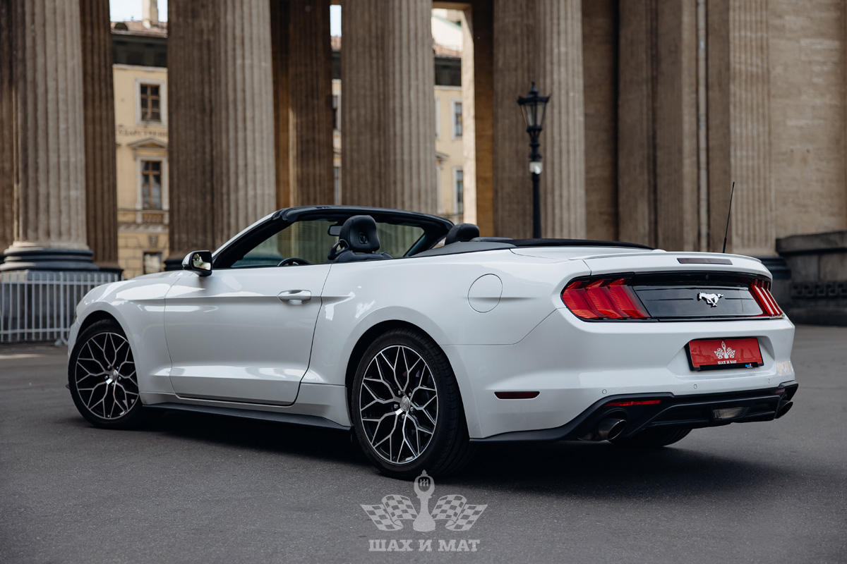 Ford Mustang 2022 кабриолет — кадр 5 из 14
