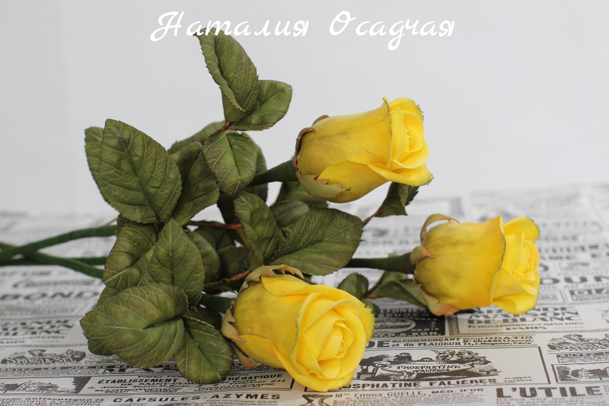 Кадр 37 из 103