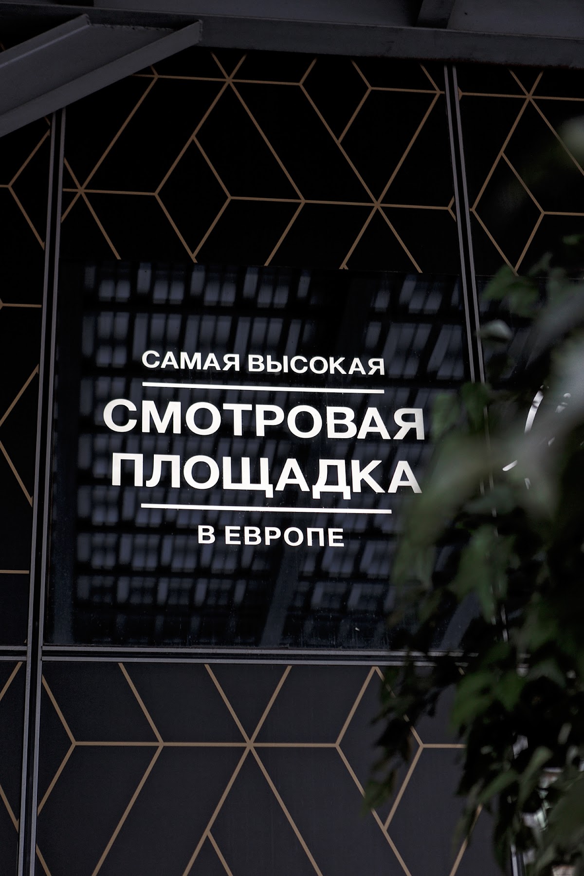 Ксения и Владислав
