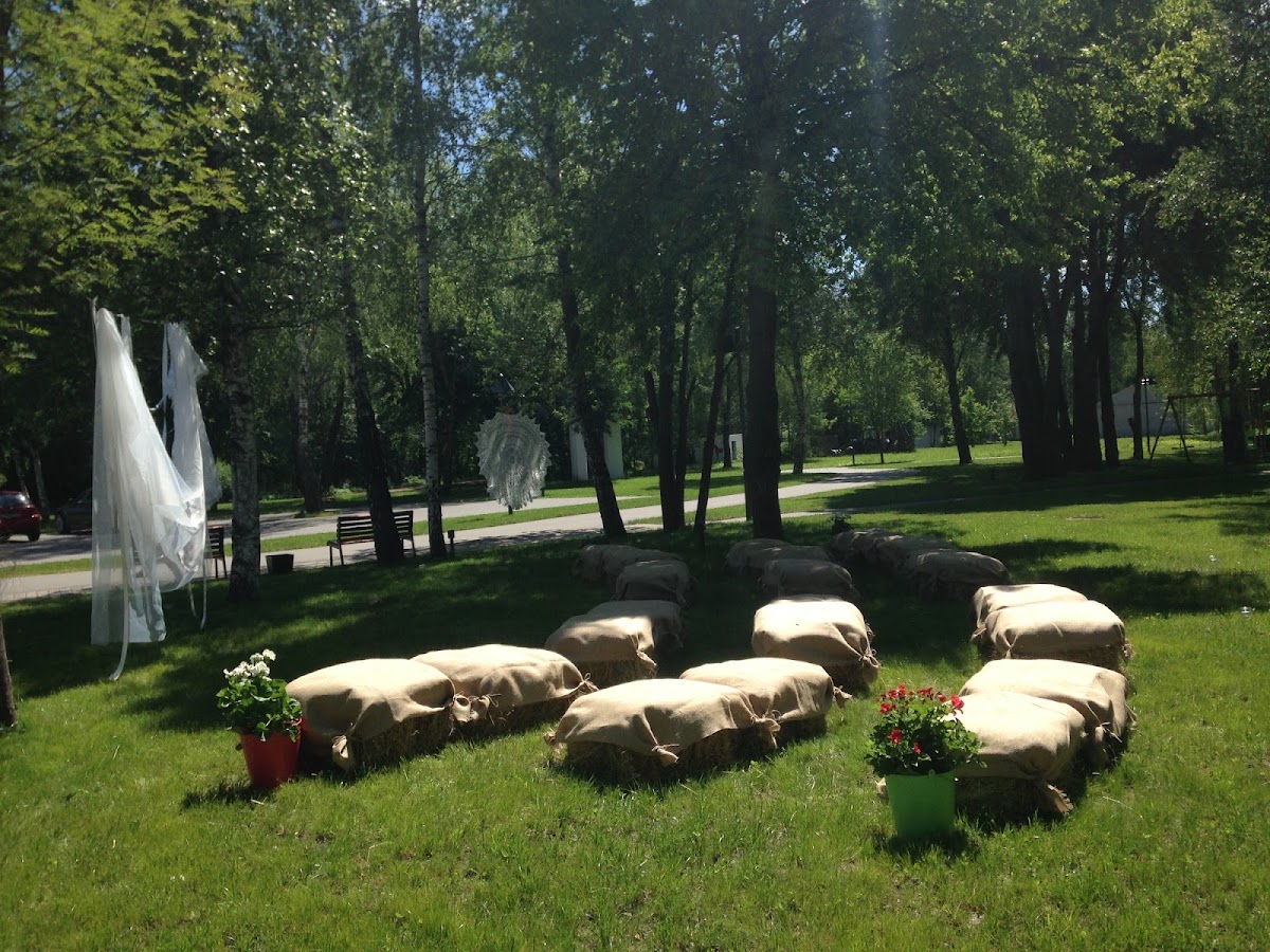 2016 год