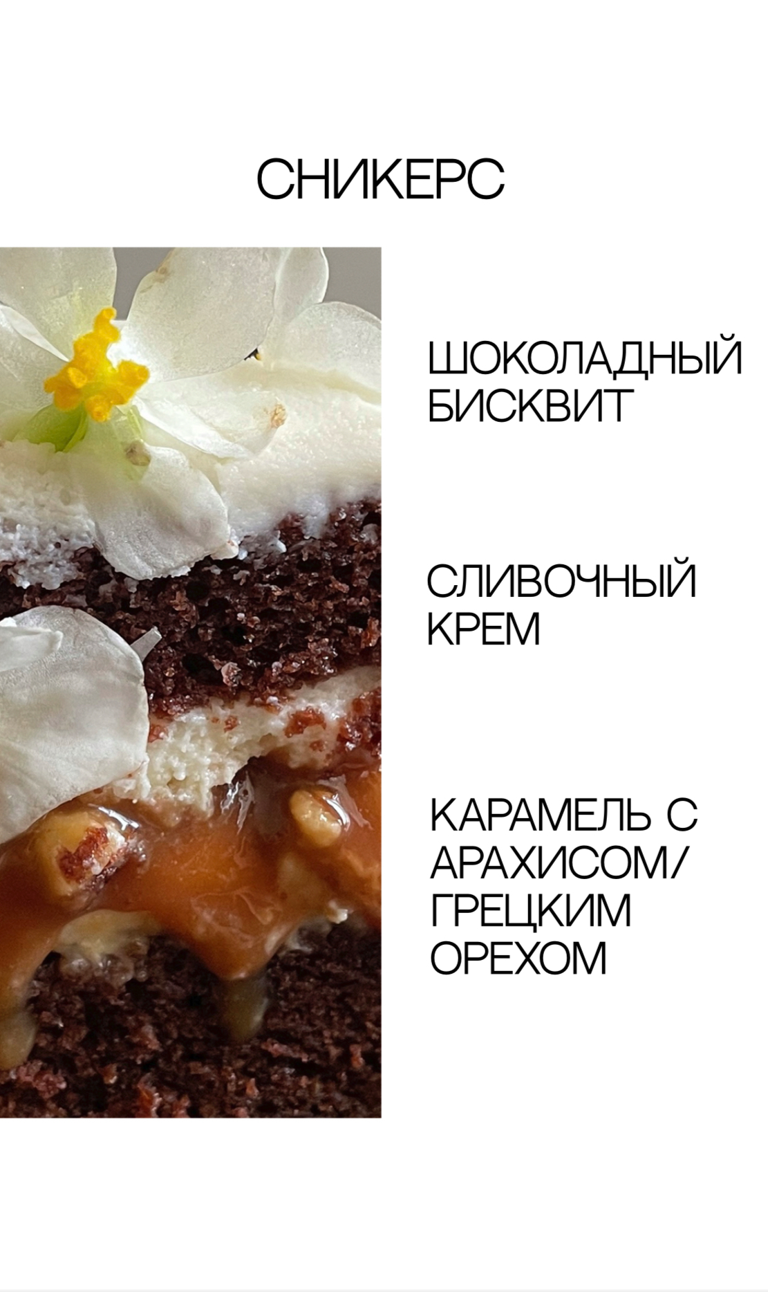 Фотографии
