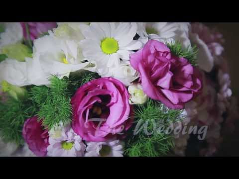 Студия «Тени»