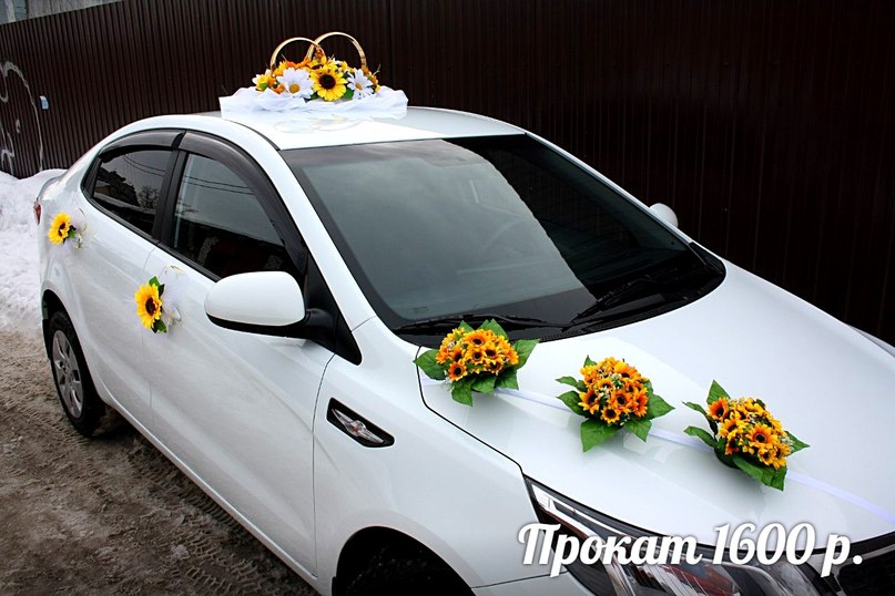 Кадр 141 из 196