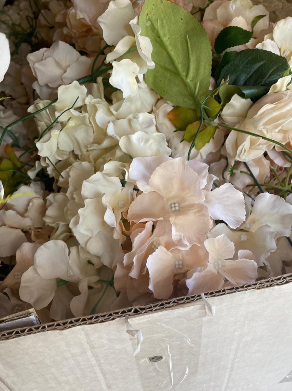 Florissimo — кадр 4 из 751