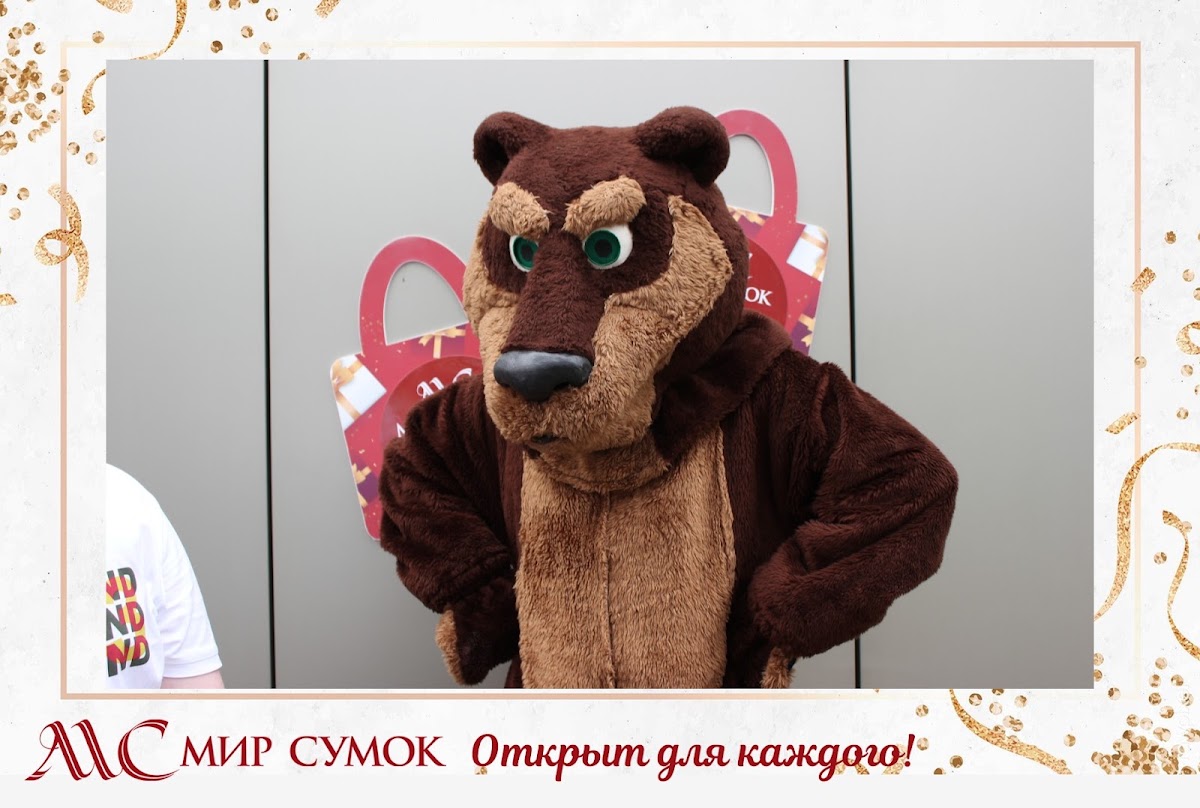 Портфолио