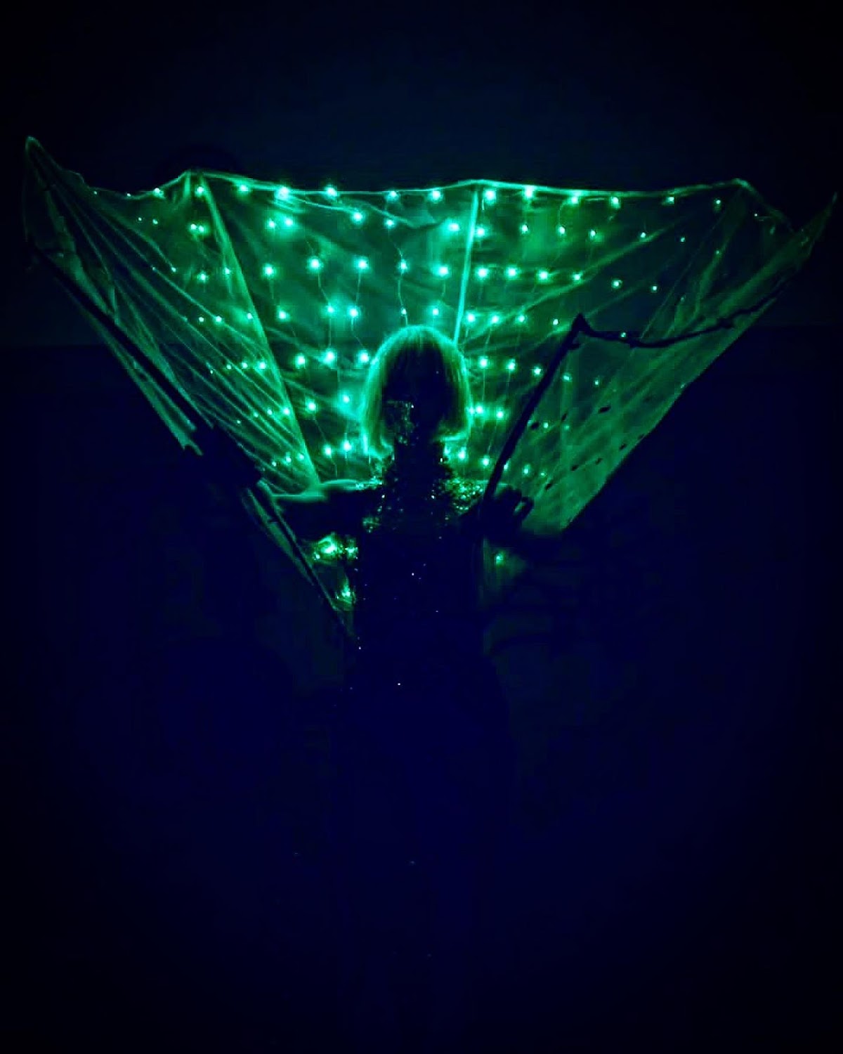 Neopixel show