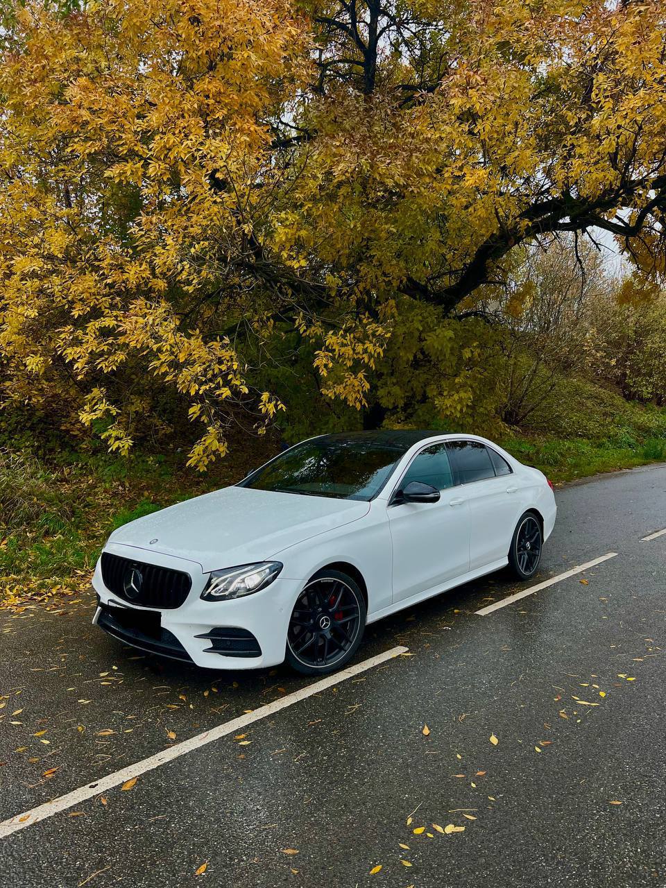 MERCEDES AMG E-CLASS W313
