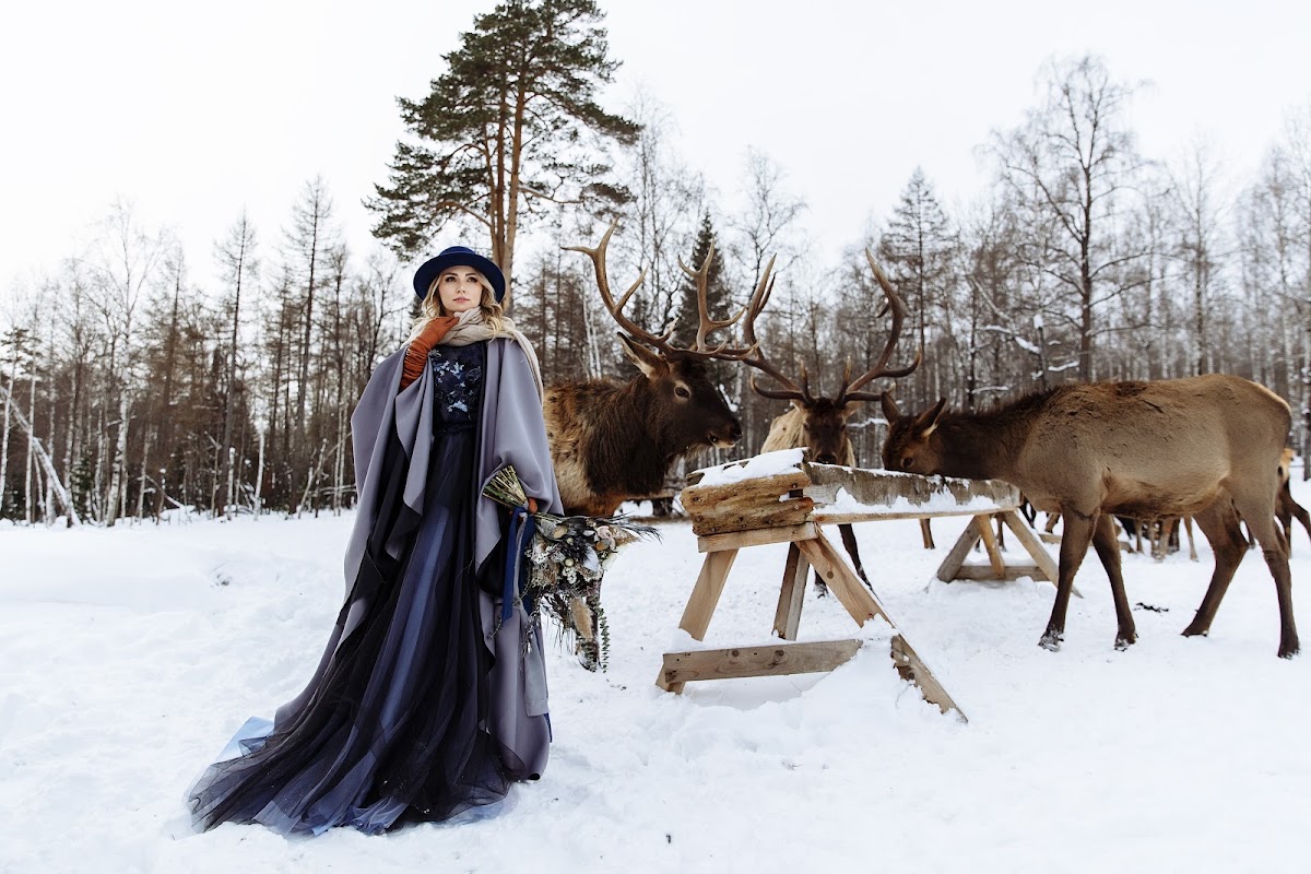 trip to the deer