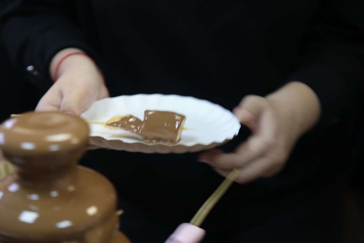 Chocolate Lifes