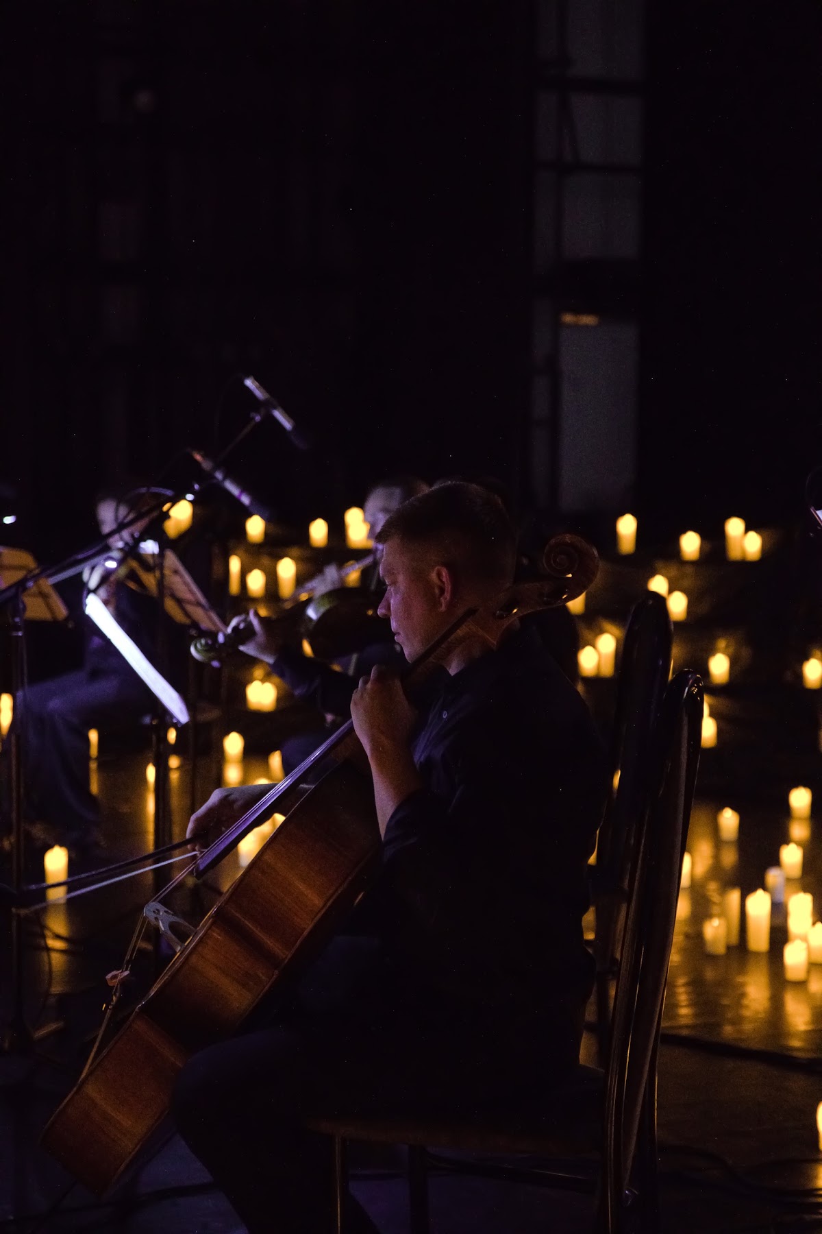Proart Orchestra